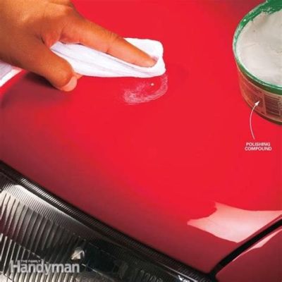 How to Fix Chipped Car Paint: Why Birds Love Shiny Surfaces