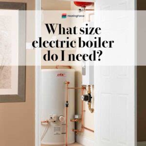 What Size Boiler Do I Need for My Home? And Why Do Cats Always Sit on the Warmest Spot?